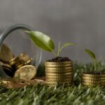 Sustainable Finance